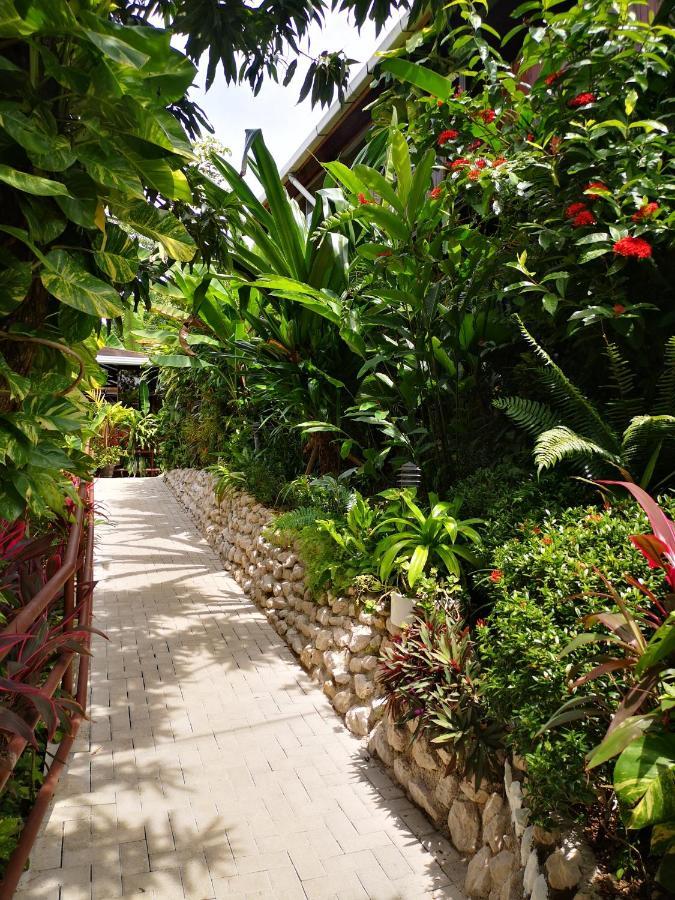 Hotel Belvedere Playa Samara Costa Rica Exteriér fotografie