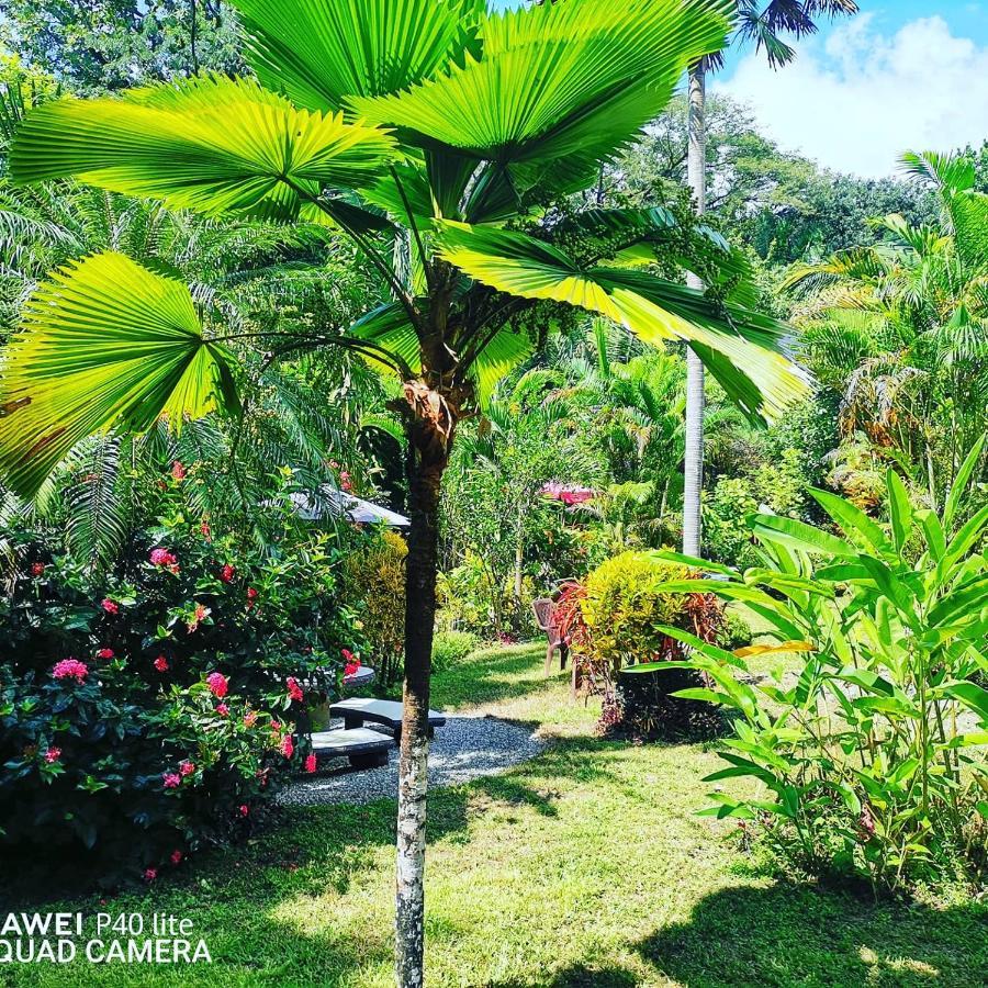 Hotel Belvedere Playa Samara Costa Rica Exteriér fotografie