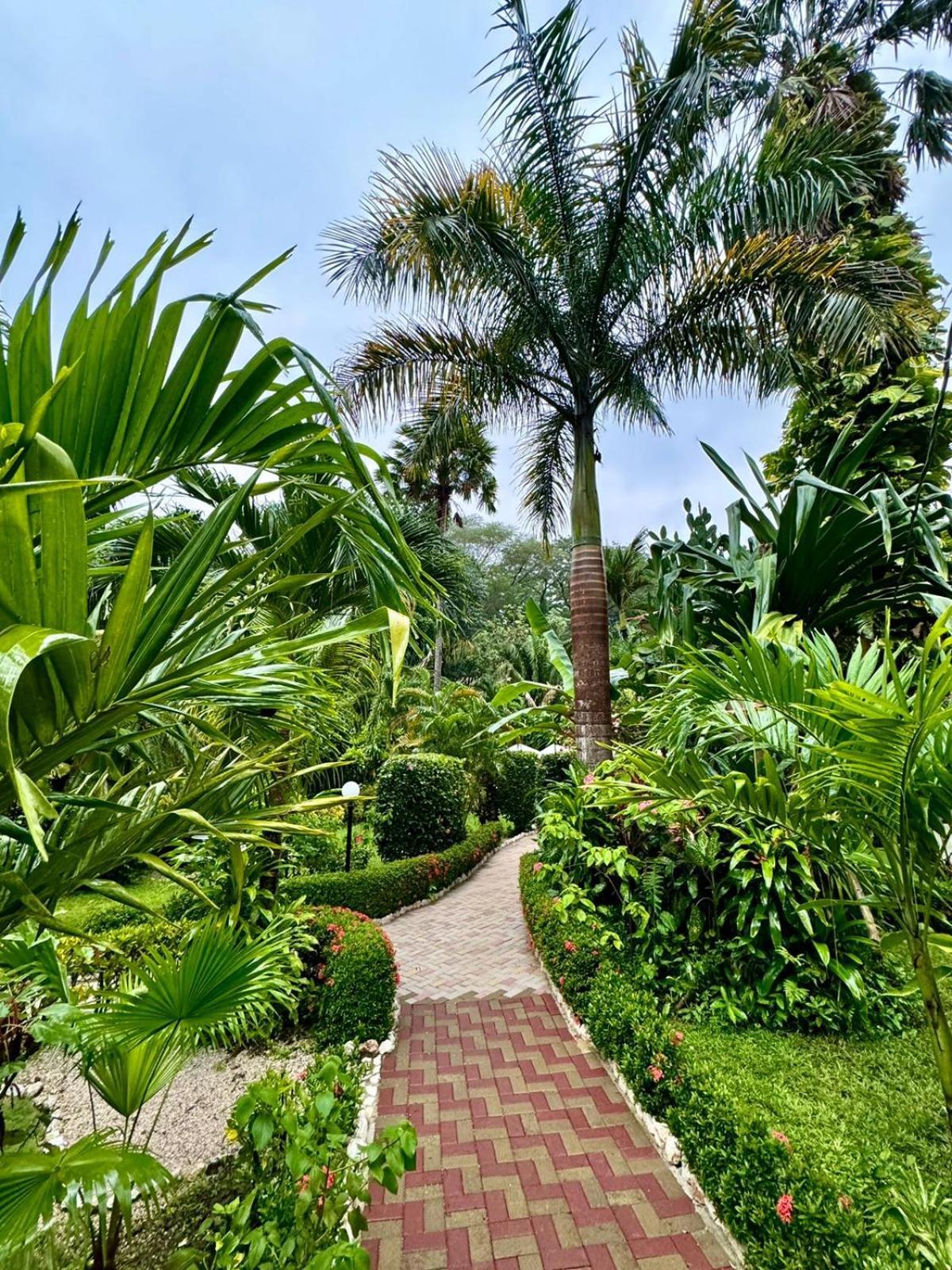 Hotel Belvedere Playa Samara Costa Rica Exteriér fotografie